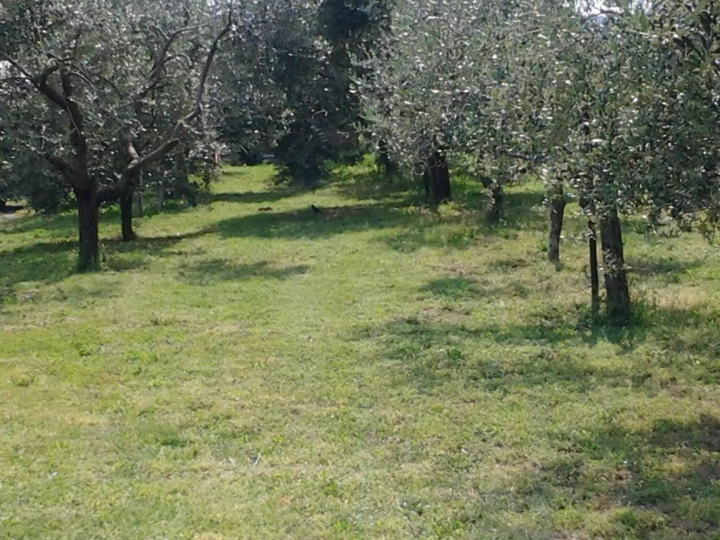 Agriturismo Corte Galvani Negrar Zewnętrze zdjęcie